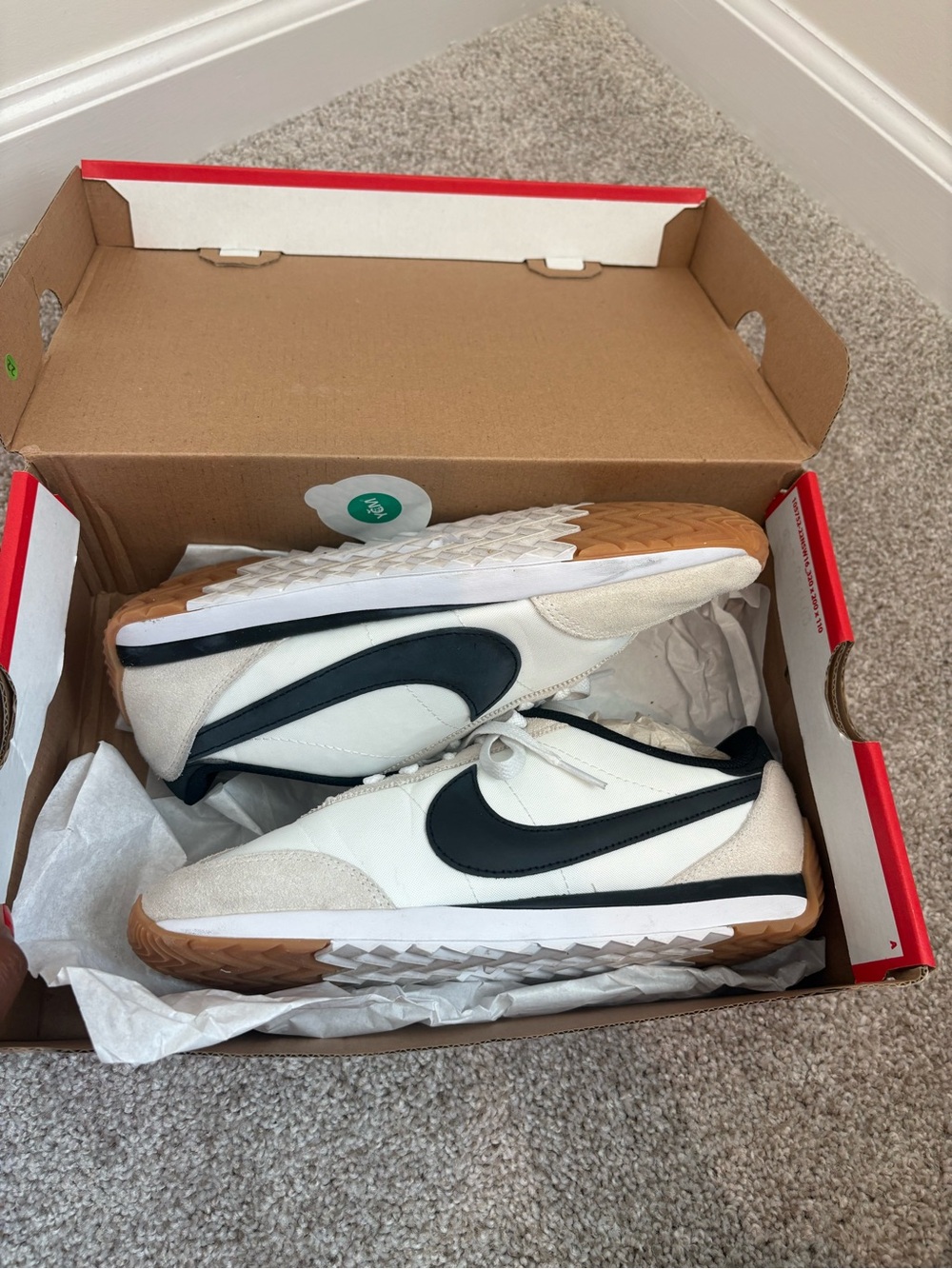 Women’s Nike Pacific